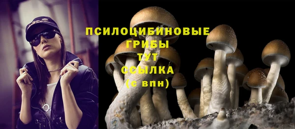 прущие грибы Зеленодольск