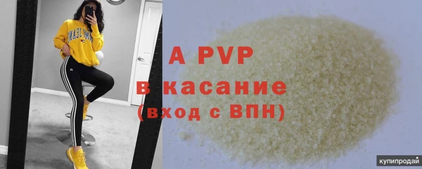 прущие грибы Зеленодольск