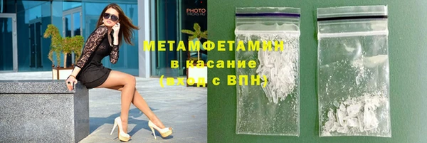 прущие грибы Зеленодольск