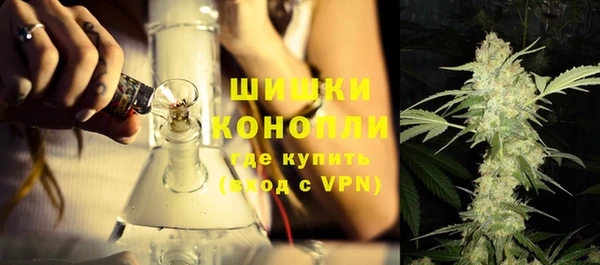 прущие грибы Зеленодольск